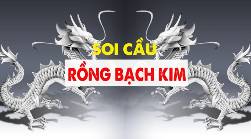 Trang chủ Soirongbachkim 49 soi-rong-bach-kim